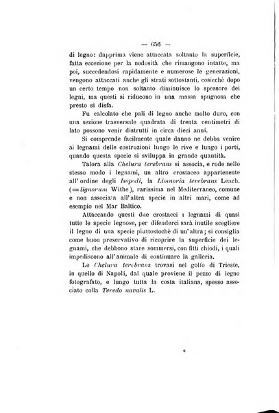 Le stazioni sperimentali agrarie italiane organo delle stazioni agrarie e dei laboratori di chimica agraria del Regno