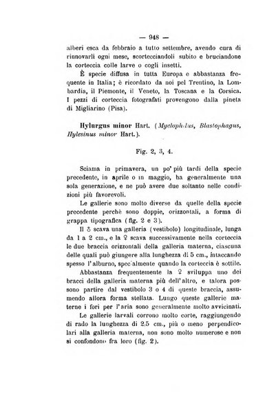 Le stazioni sperimentali agrarie italiane organo delle stazioni agrarie e dei laboratori di chimica agraria del Regno