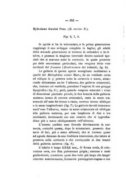 Le stazioni sperimentali agrarie italiane organo delle stazioni agrarie e dei laboratori di chimica agraria del Regno