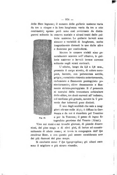 Le stazioni sperimentali agrarie italiane organo delle stazioni agrarie e dei laboratori di chimica agraria del Regno