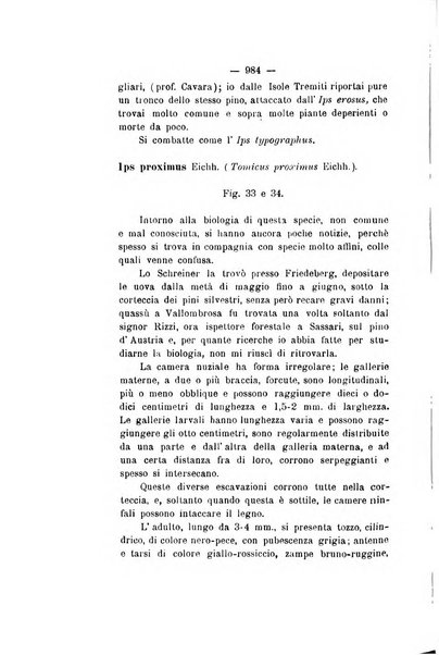 Le stazioni sperimentali agrarie italiane organo delle stazioni agrarie e dei laboratori di chimica agraria del Regno