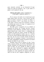 giornale/PUV0112468/1910/unico/00000615