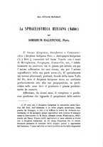 giornale/PUV0112468/1910/unico/00000765