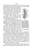 giornale/PUV0112468/1912/unico/00000539