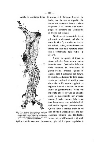 Le stazioni sperimentali agrarie italiane organo delle stazioni agrarie e dei laboratori di chimica agraria del Regno