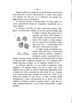 giornale/PUV0112468/1914/unico/00000048