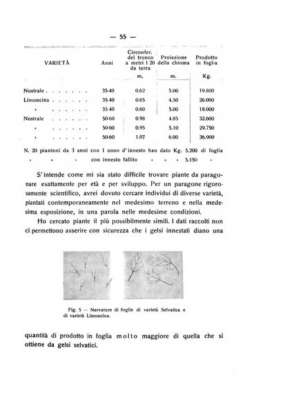 Le stazioni sperimentali agrarie italiane organo delle stazioni agrarie e dei laboratori di chimica agraria del Regno