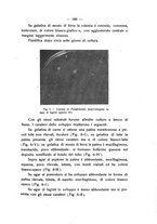 giornale/PUV0112468/1914/unico/00000199
