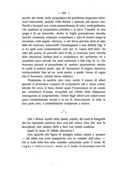 Le stazioni sperimentali agrarie italiane organo delle stazioni agrarie e dei laboratori di chimica agraria del Regno