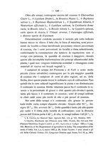 giornale/PUV0112468/1919/unico/00000568