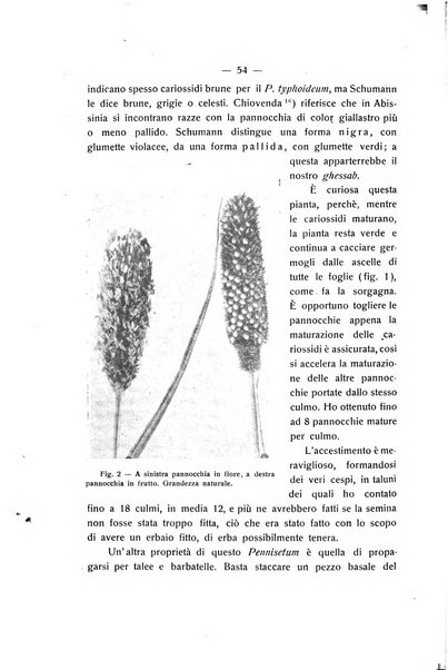 Le stazioni sperimentali agrarie italiane organo delle stazioni agrarie e dei laboratori di chimica agraria del Regno