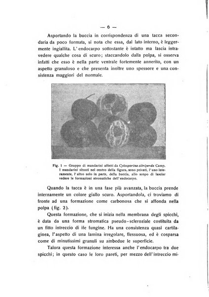 Le stazioni sperimentali agrarie italiane organo delle stazioni agrarie e dei laboratori di chimica agraria del Regno