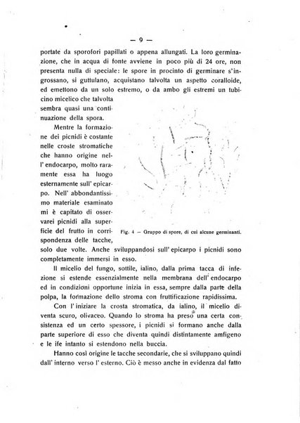 Le stazioni sperimentali agrarie italiane organo delle stazioni agrarie e dei laboratori di chimica agraria del Regno