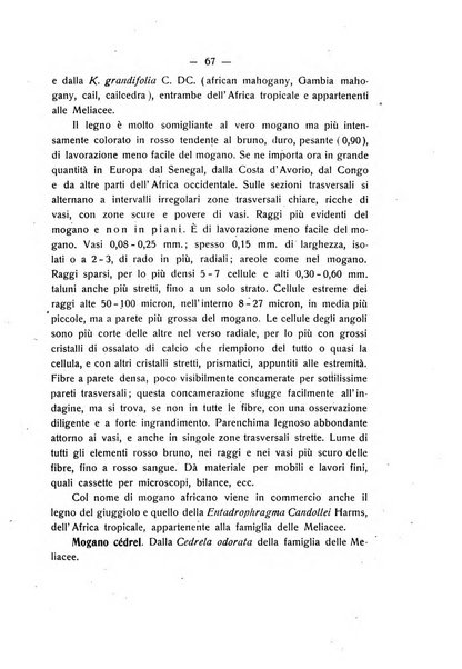 Le stazioni sperimentali agrarie italiane organo delle stazioni agrarie e dei laboratori di chimica agraria del Regno