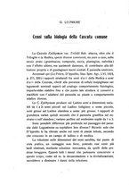 giornale/PUV0112468/1924/unico/00000328