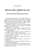 giornale/PUV0112468/1925/unico/00000131