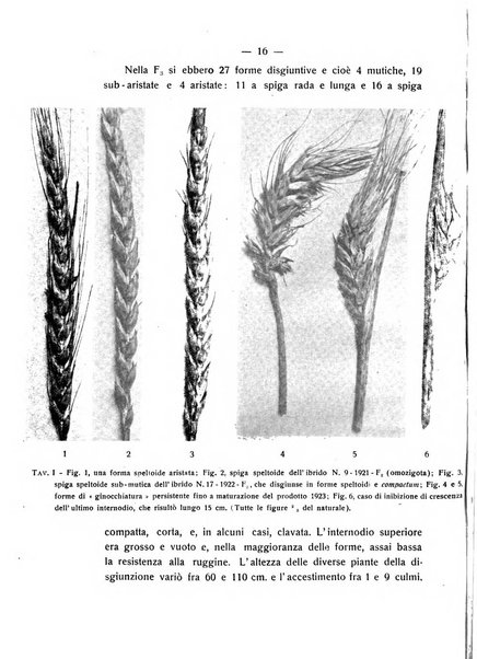 Le stazioni sperimentali agrarie italiane organo delle stazioni agrarie e dei laboratori di chimica agraria del Regno