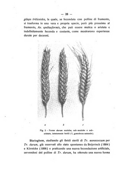 Le stazioni sperimentali agrarie italiane organo delle stazioni agrarie e dei laboratori di chimica agraria del Regno