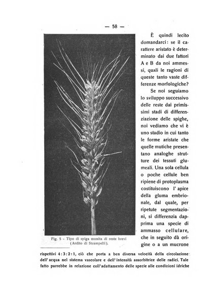 Le stazioni sperimentali agrarie italiane organo delle stazioni agrarie e dei laboratori di chimica agraria del Regno