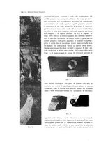 giornale/PUV0112861/1914/unico/00000164