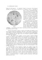 giornale/PUV0112861/1917/unico/00000124