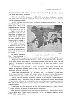 giornale/PUV0112861/1918/unico/00000085