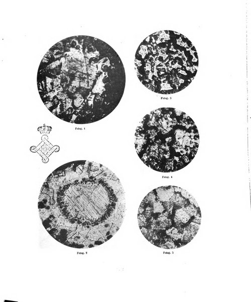 La metallurgia italiana rivista mensile