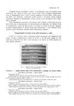 giornale/PUV0112861/1923/unico/00000301