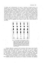 giornale/PUV0112861/1923/unico/00000303