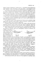 giornale/PUV0112861/1923/unico/00000703