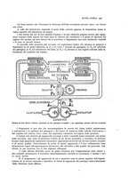 giornale/PUV0112861/1926/unico/00000453