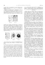 giornale/PUV0112861/1932/unico/00000278