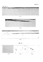 giornale/PUV0112861/1932/unico/00000529