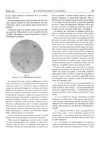 giornale/PUV0112861/1934/unico/00000395