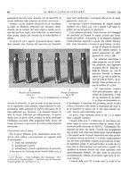 giornale/PUV0112861/1934/unico/00000984