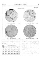 giornale/PUV0112861/1936/unico/00000151