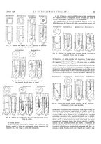 giornale/PUV0112861/1936/unico/00000495