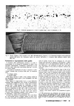 giornale/PUV0112861/1946/unico/00000135