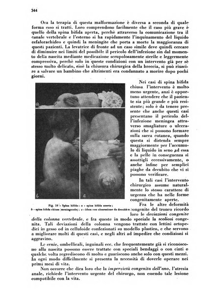 Arte ostetrica giornale per i medici e per le levatrici