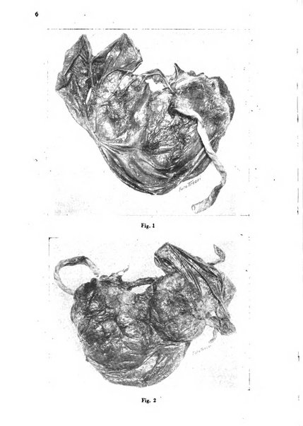 Arte ostetrica giornale per i medici e per le levatrici