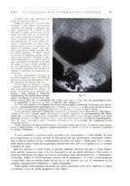 giornale/PUV0113779/1934/unico/00000059