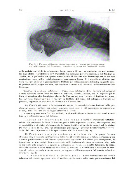 Radiologia e fisica medica. Sezione 2, Rassegna