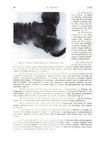 giornale/PUV0113779/1934/unico/00000080