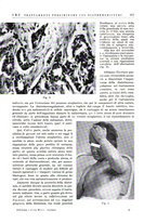 giornale/PUV0113779/1934/unico/00000147