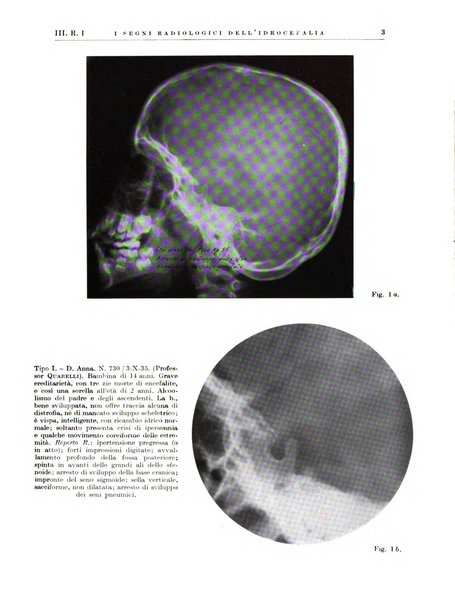 Radiologia e fisica medica. Sezione 2, Rassegna