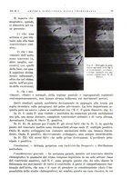 giornale/PUV0113779/1936/unico/00000047