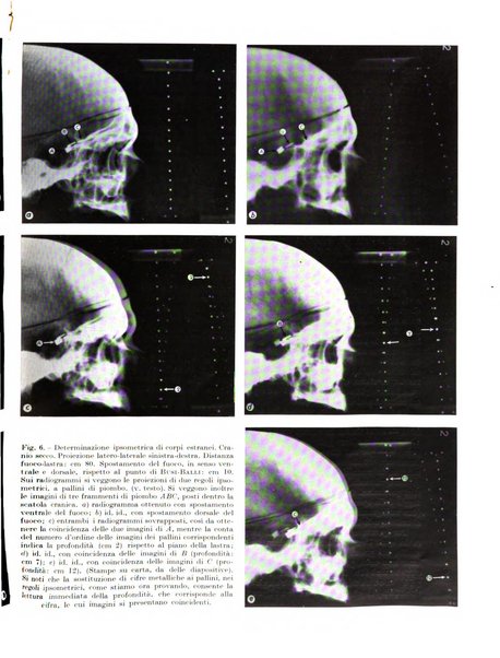 Radiologia e fisica medica. Sezione 2, Rassegna