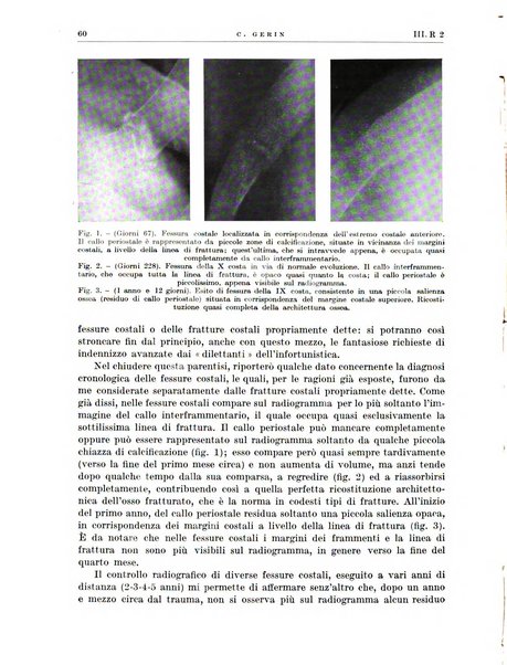 Radiologia e fisica medica. Sezione 2, Rassegna