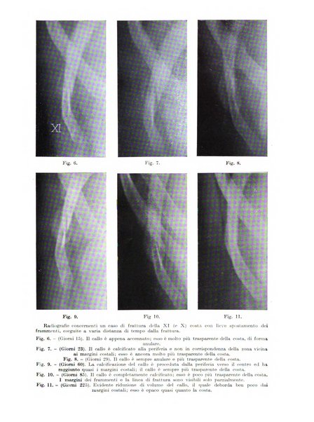 Radiologia e fisica medica. Sezione 2, Rassegna