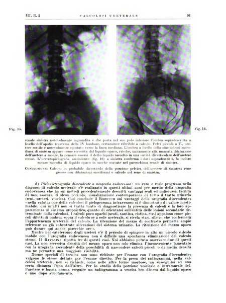 Radiologia e fisica medica. Sezione 2, Rassegna